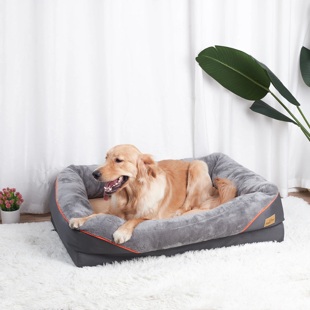 BINGOPAW Soft Foam Dog Bed With Removable Washable Cover