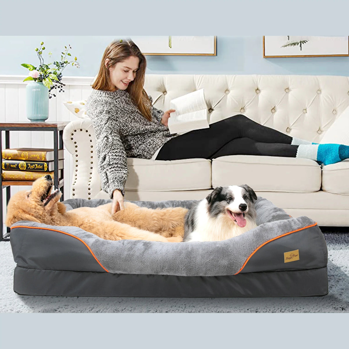 BINGOPAW Soft Foam Dog Bed With Removable Washable Cover