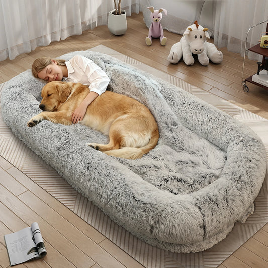 Human Dog Bed With Orthopedic Support And Removable Cover